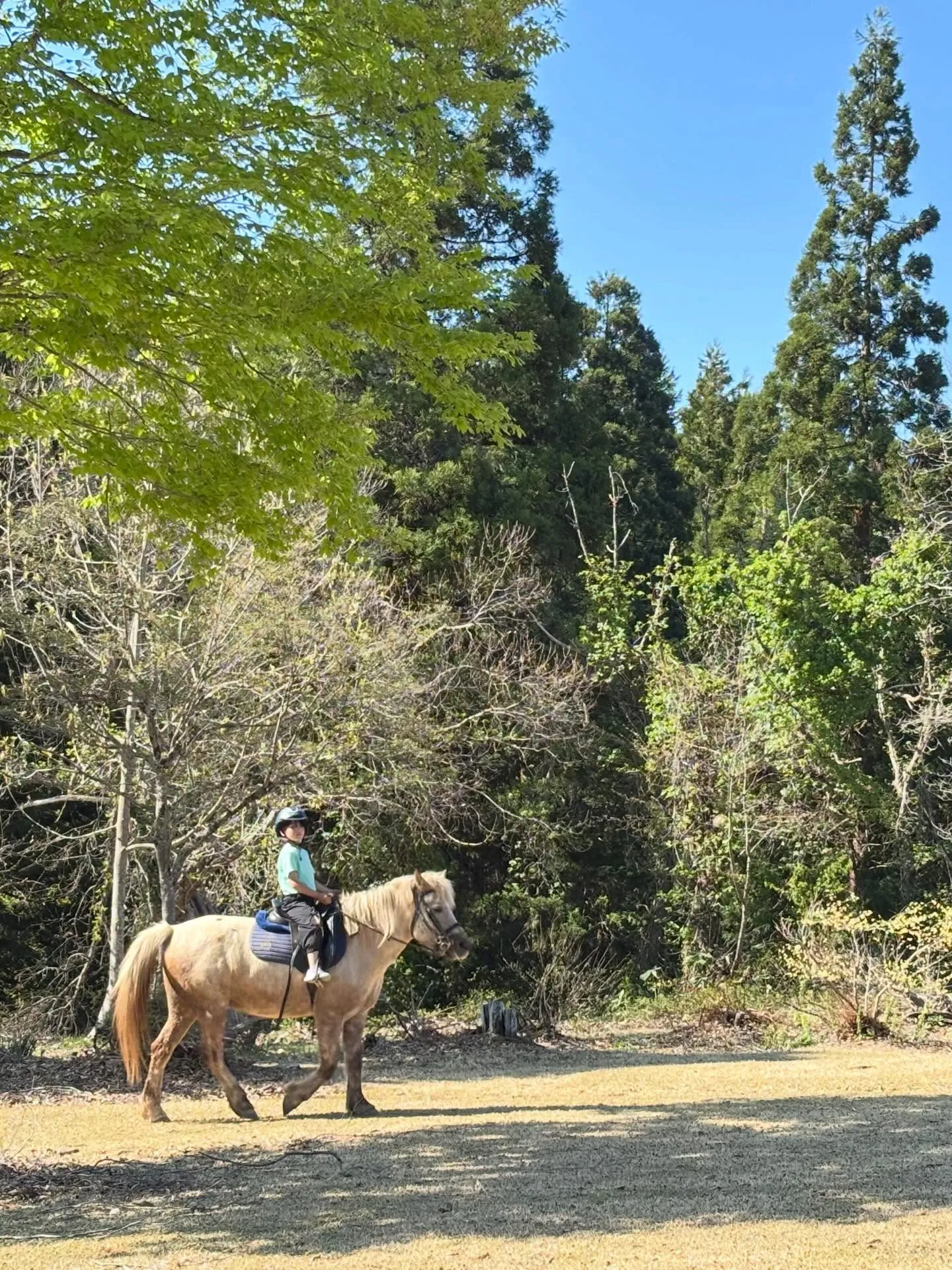 みんなでお花見🌸お団子食べていっぱい遊んで♪お天気もサイコー...
