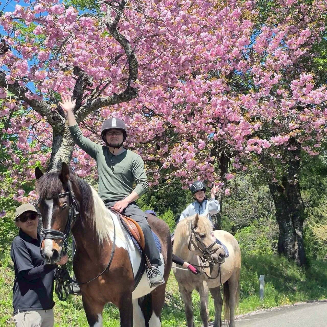 今年のゴールデンウィークは舞い散る桜🌸と新緑の始まり🌱が同時...