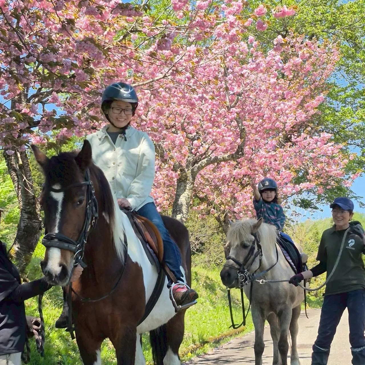今年のゴールデンウィークは舞い散る桜🌸と新緑の始まり🌱が同時...