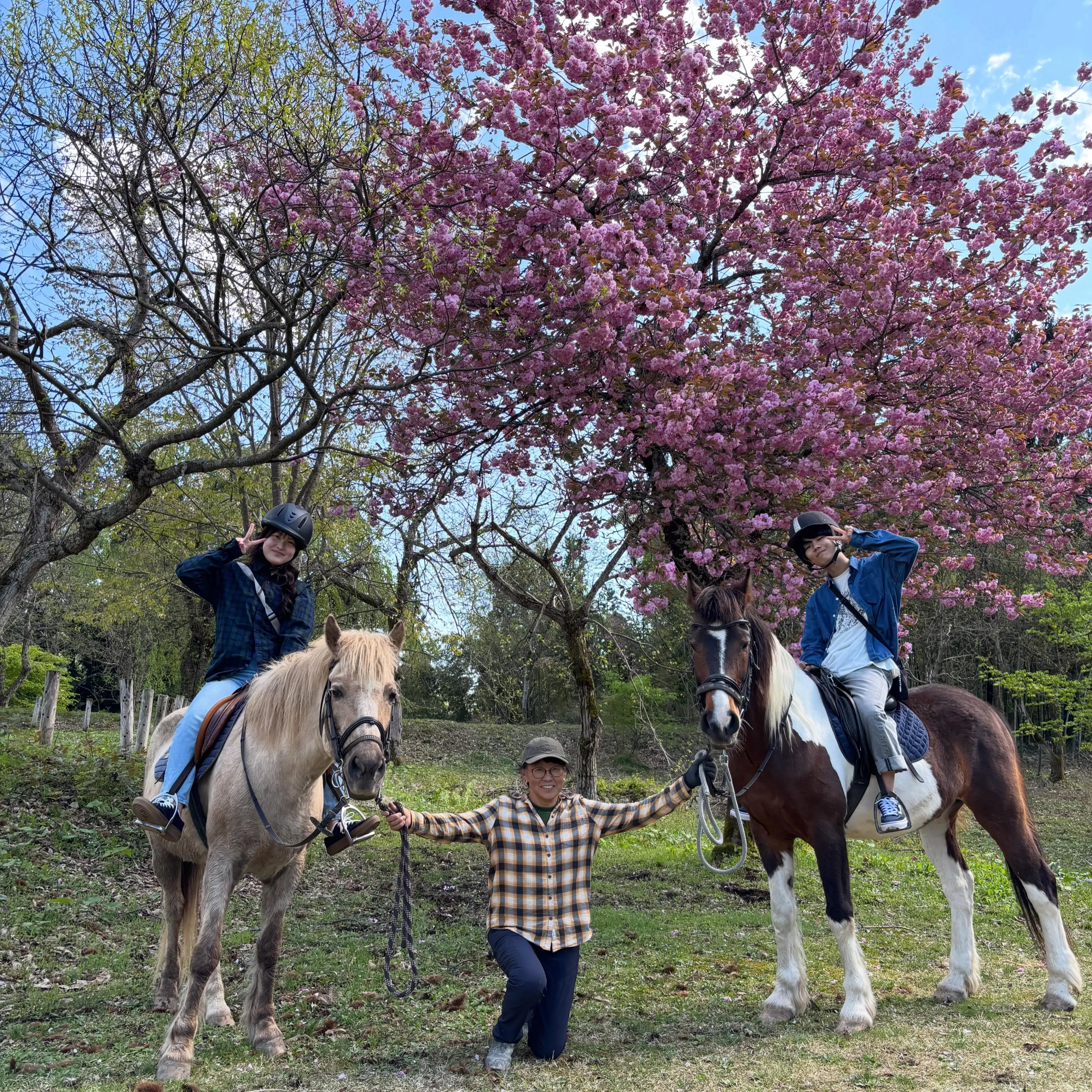 ゴールデンウィークは、お子様連れのご家族や若いカップルも乗馬...