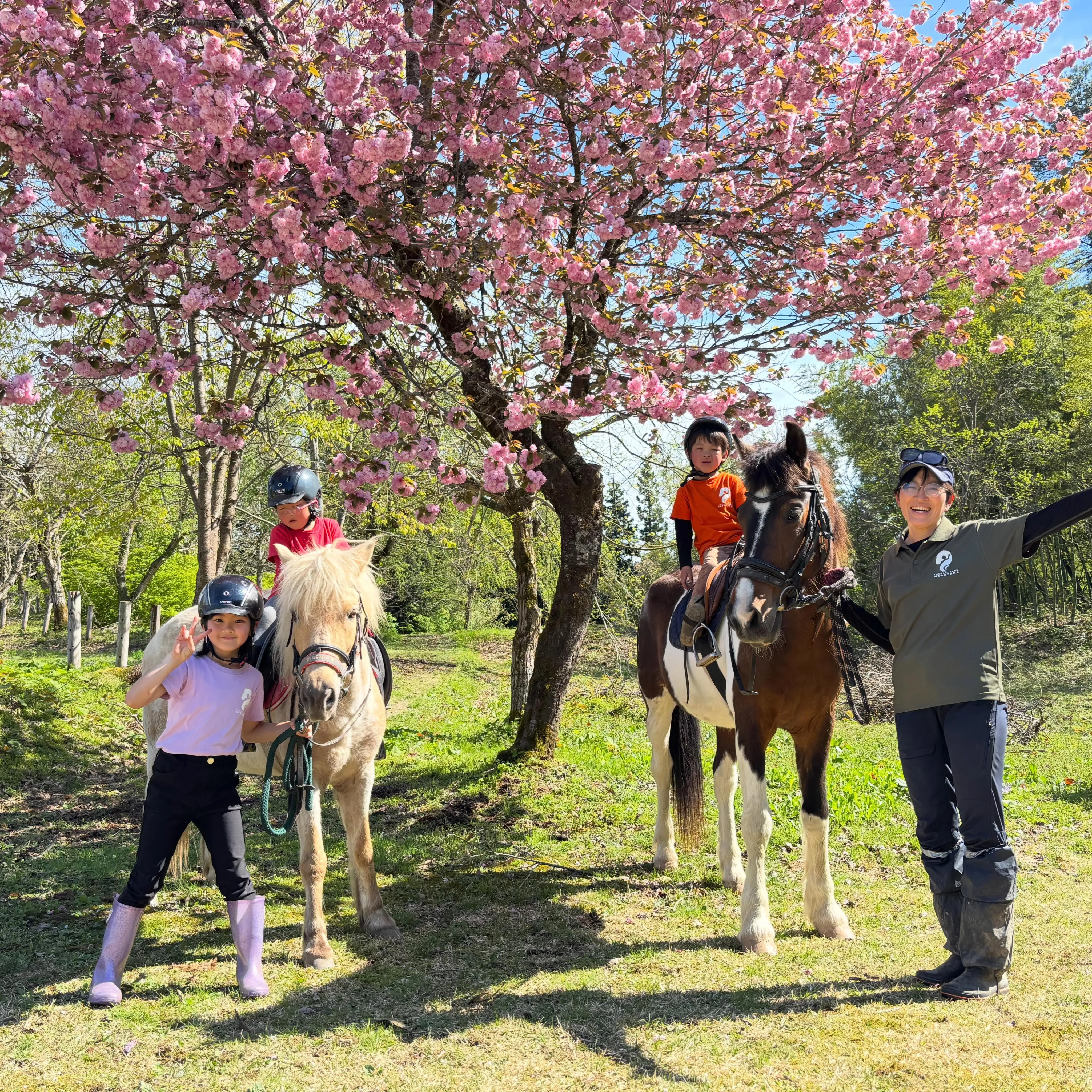 ゴールデンウィークは、お子様連れのご家族や若いカップルも乗馬...