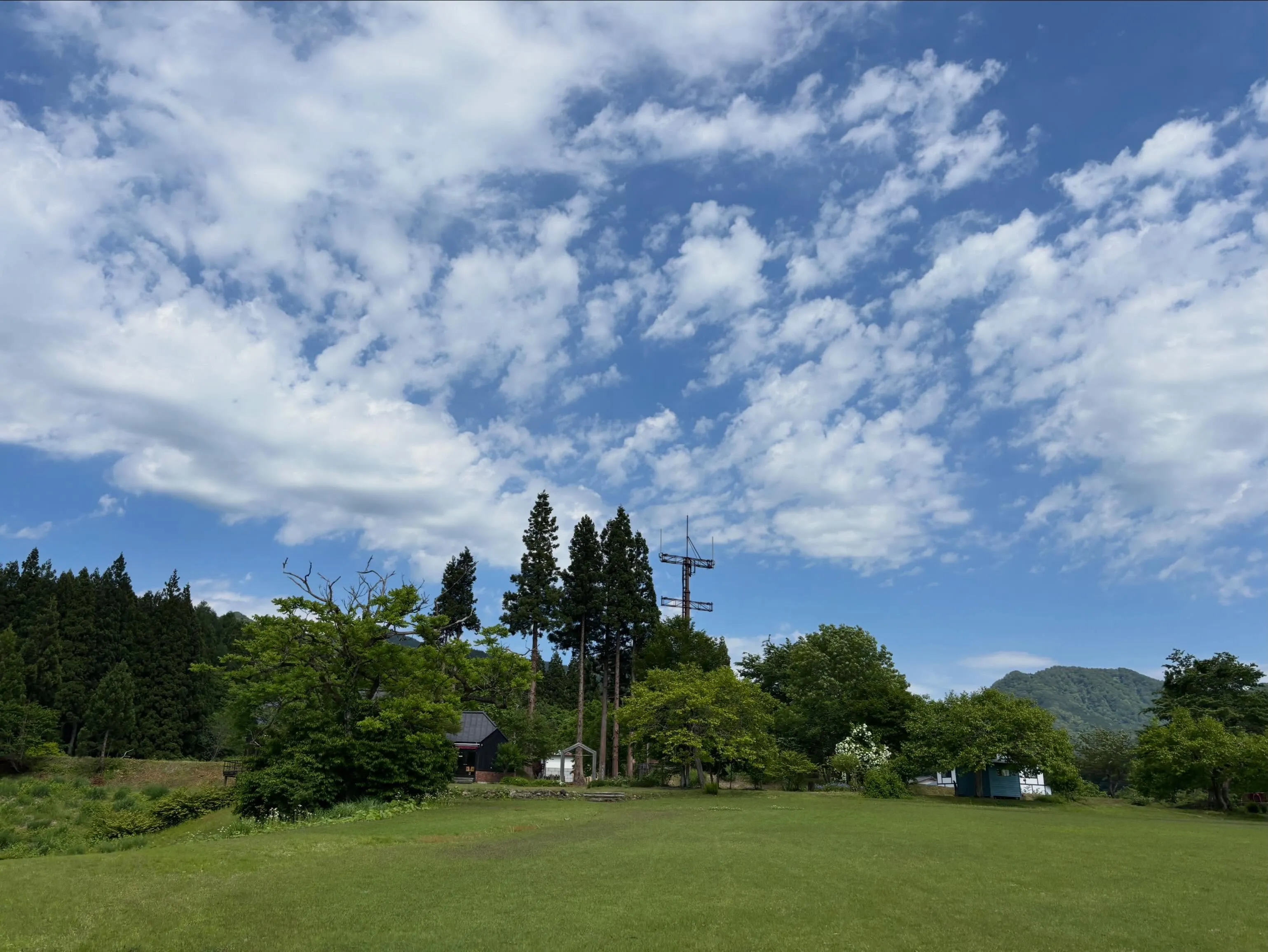 今日も素敵なご家族が来てくれました♪