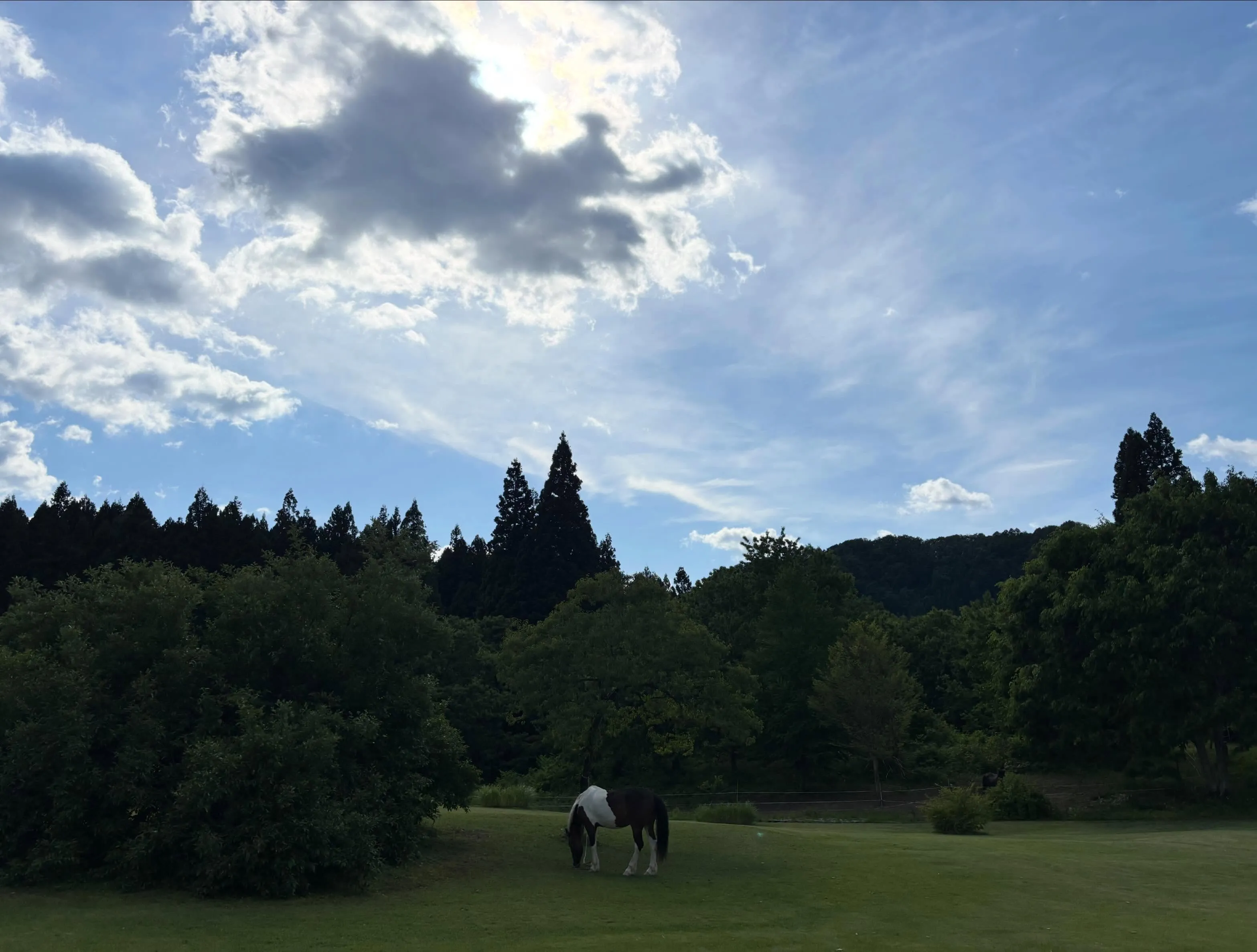 今日は空が最高に綺麗な1日😍