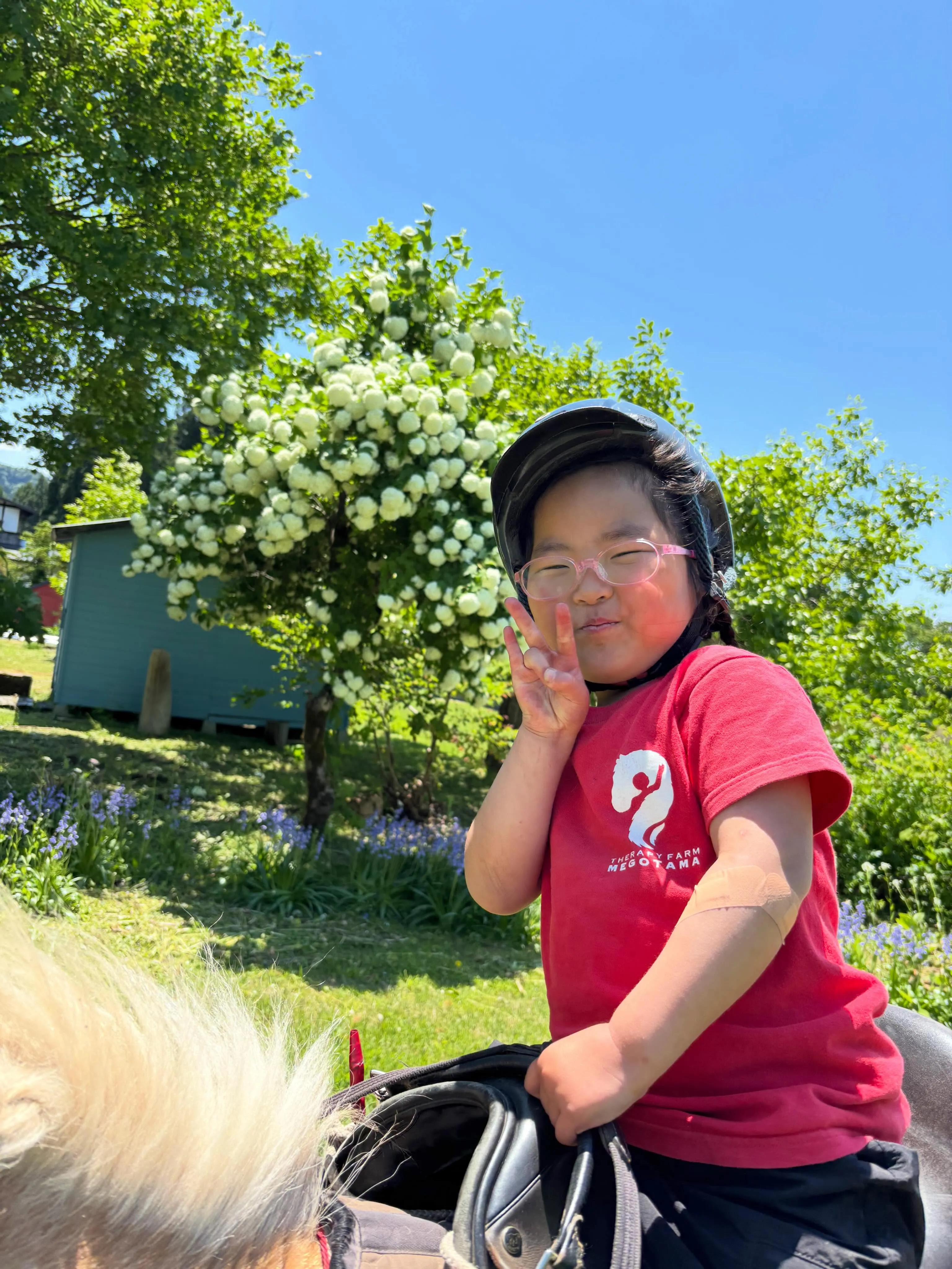 いろんなお花が咲いてきたよー！ここのところお天気も最高です♪