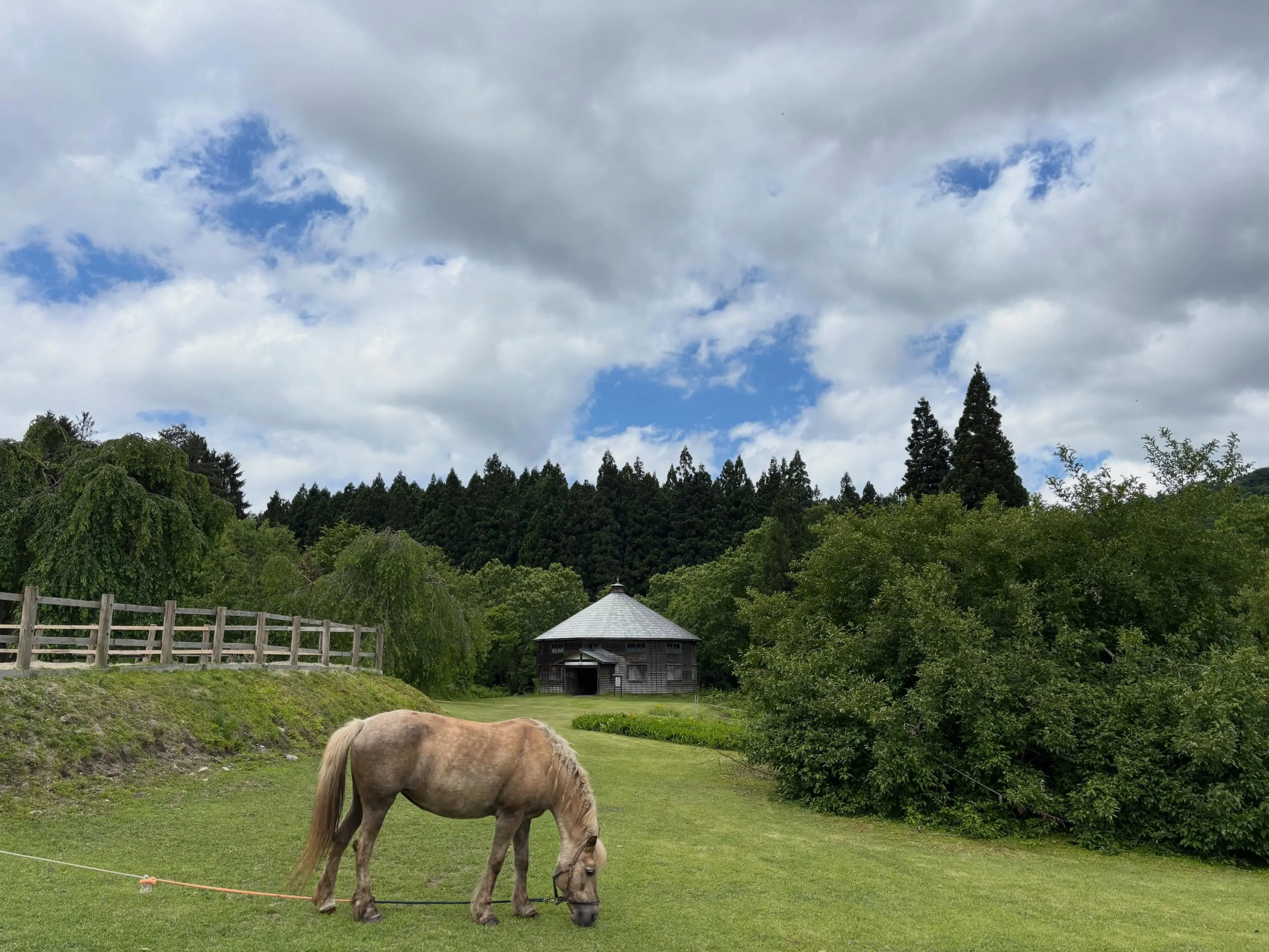 晴天☀️が続いています♪