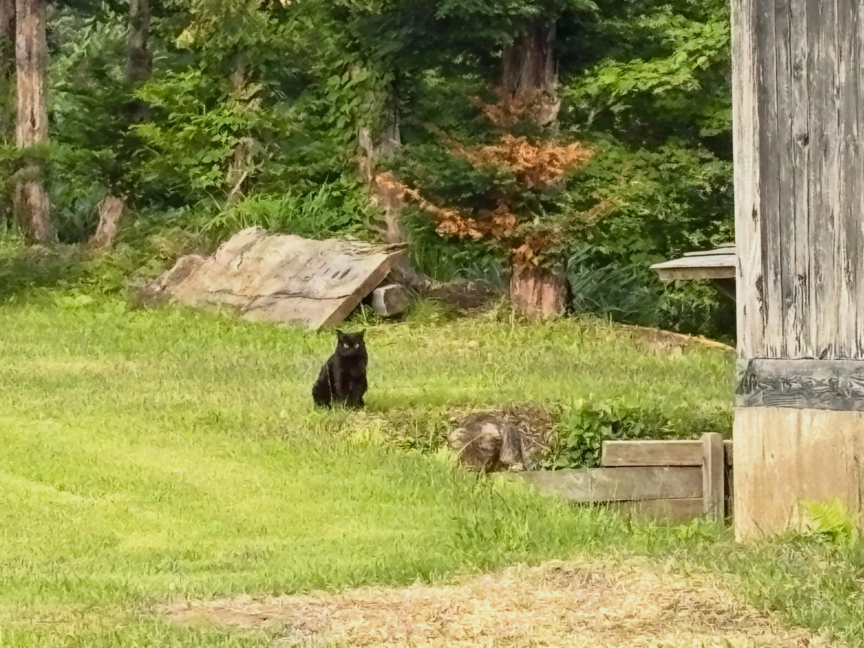 晴天☀️が続いています♪