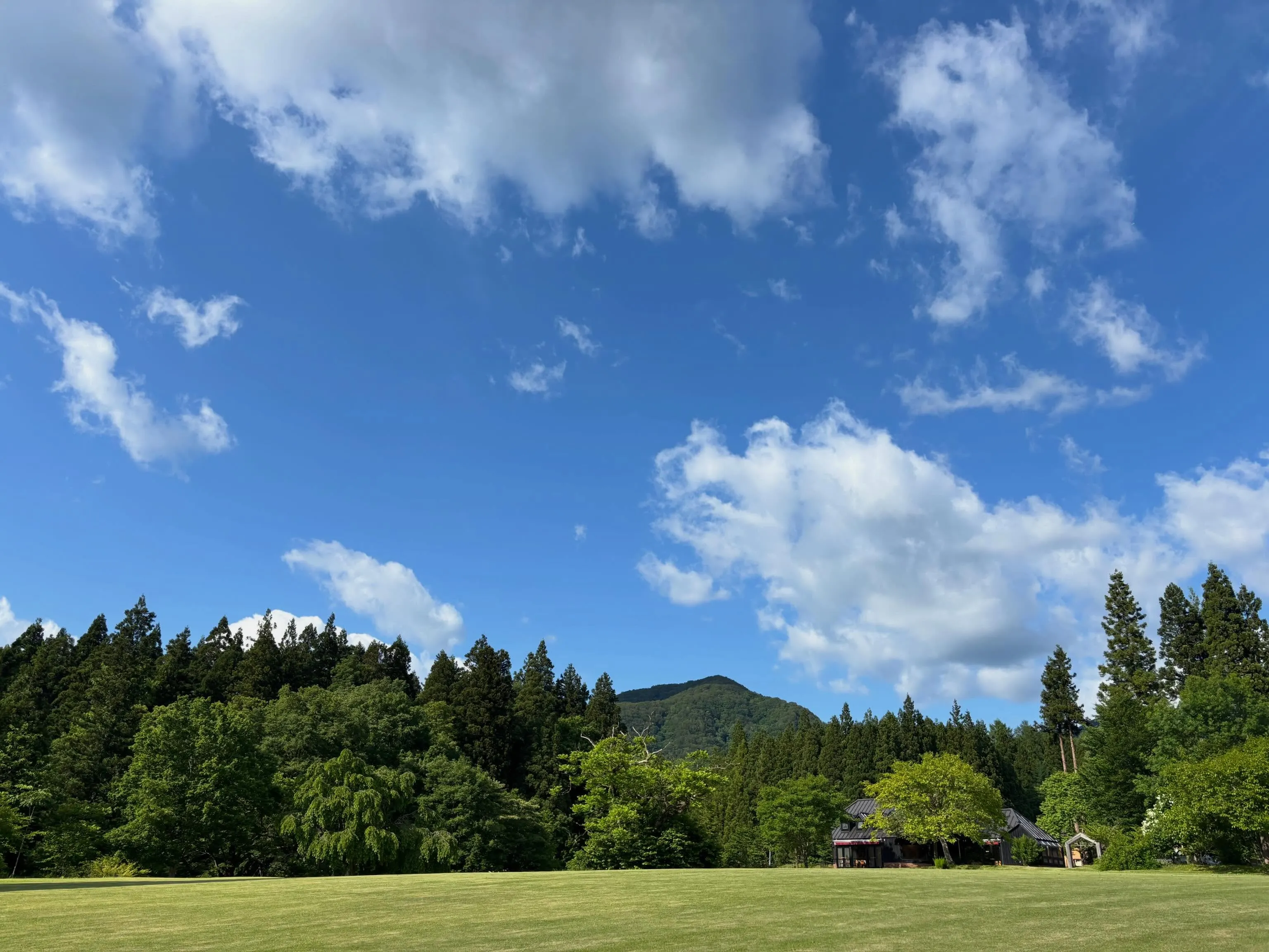 晴天☀️が続いています♪