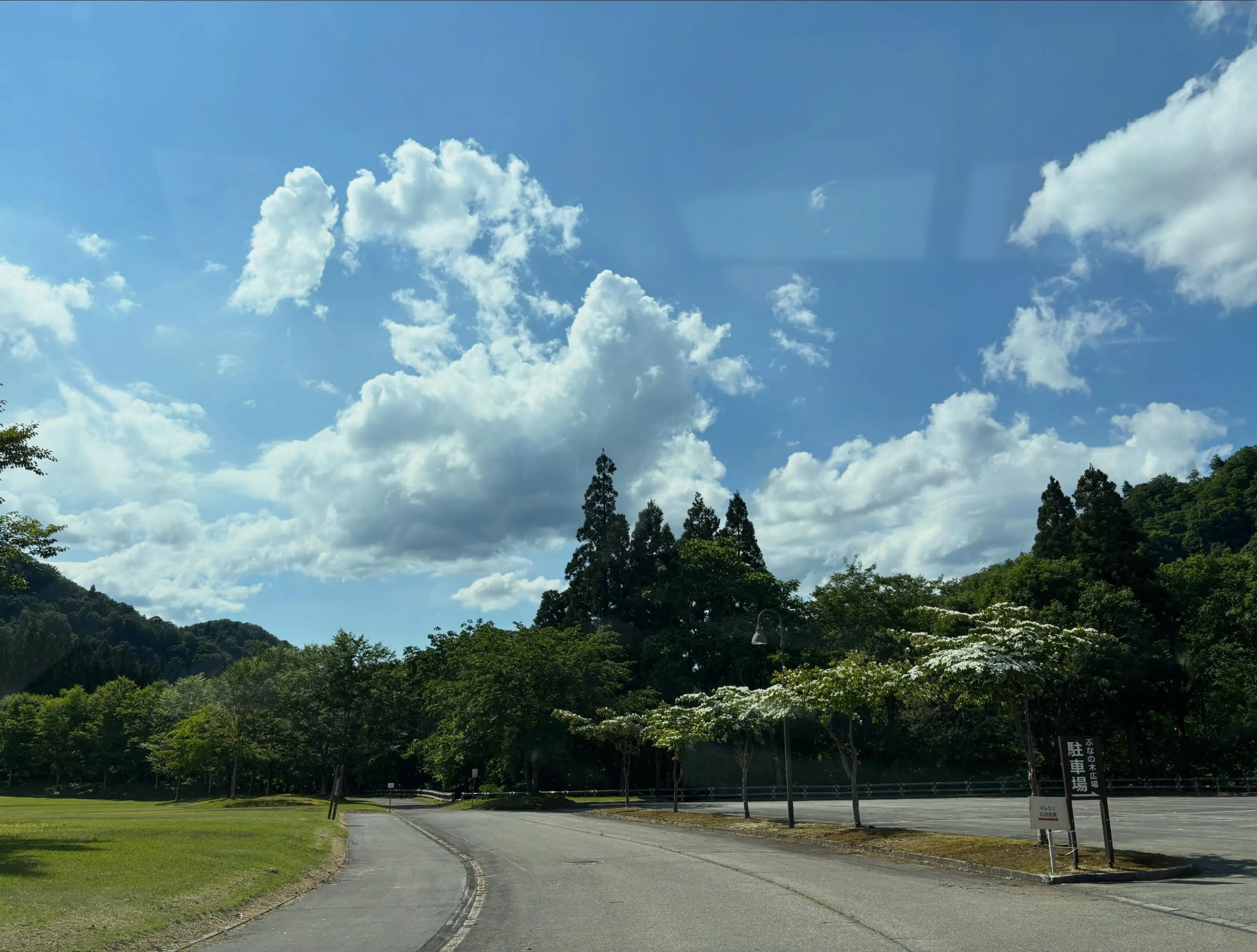 今日も最高に良い天気☀️