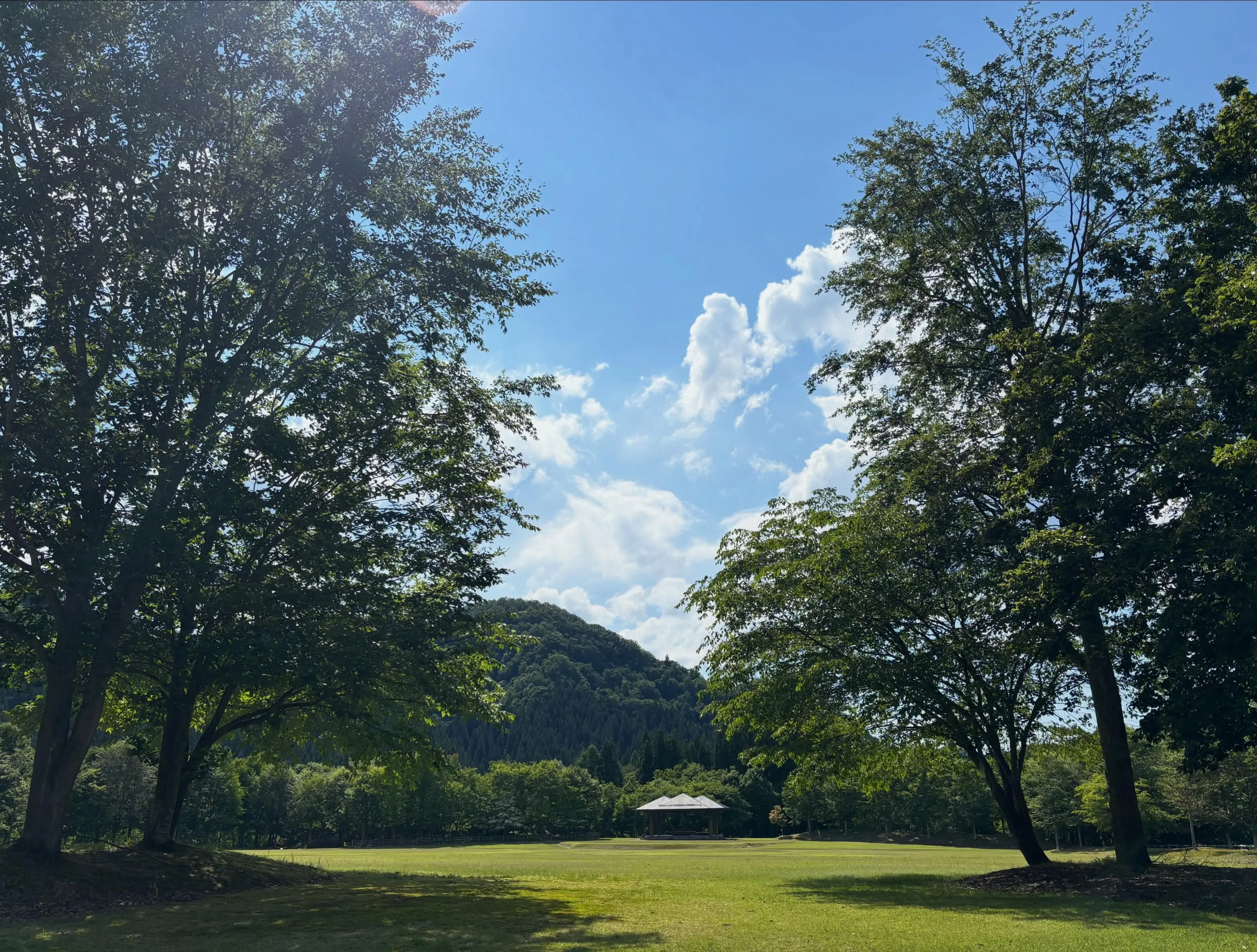 今日も最高に良い天気☀️