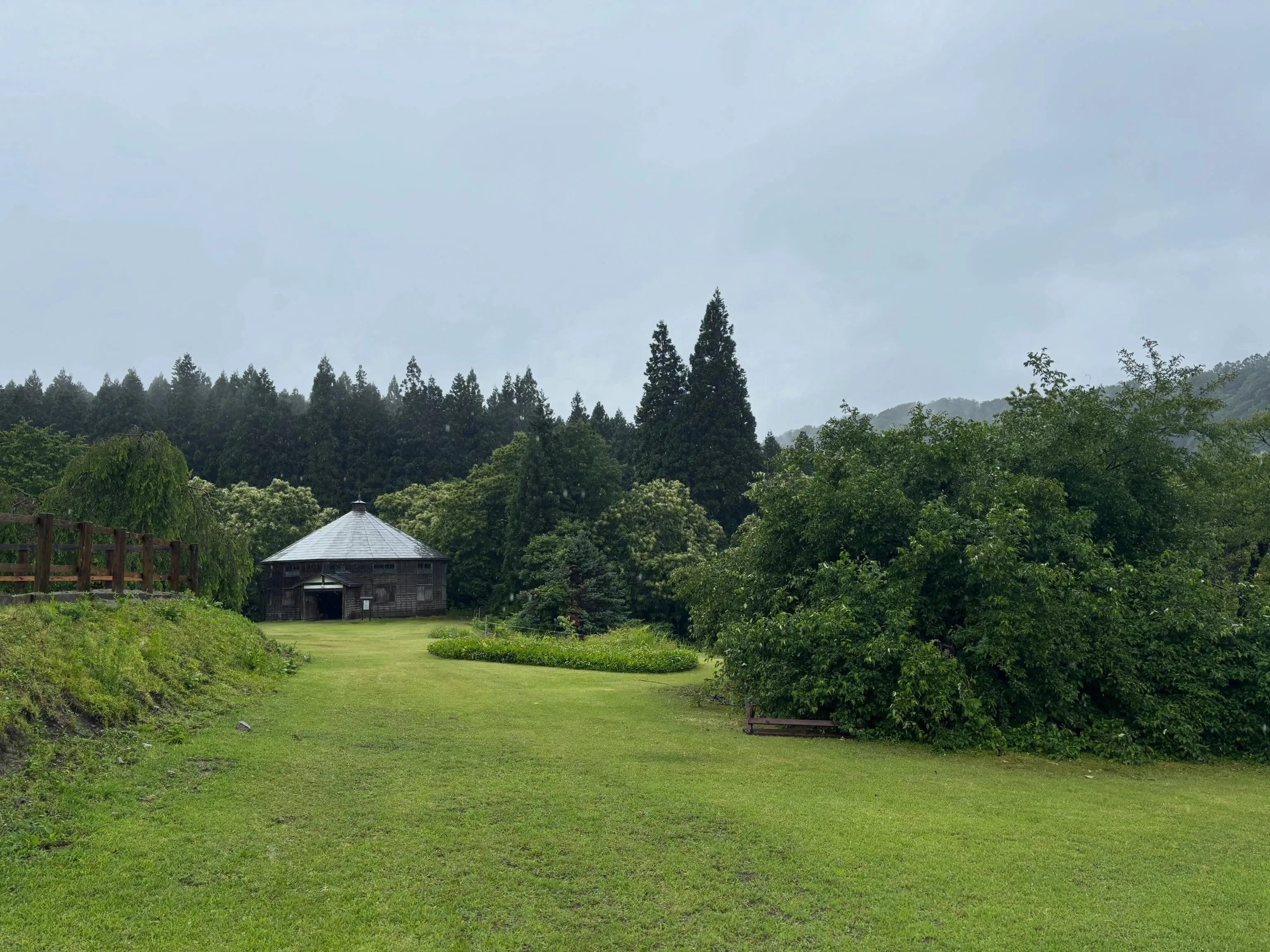 梅雨入りして雨が降った時は、緑が鮮やかになって結構好き！