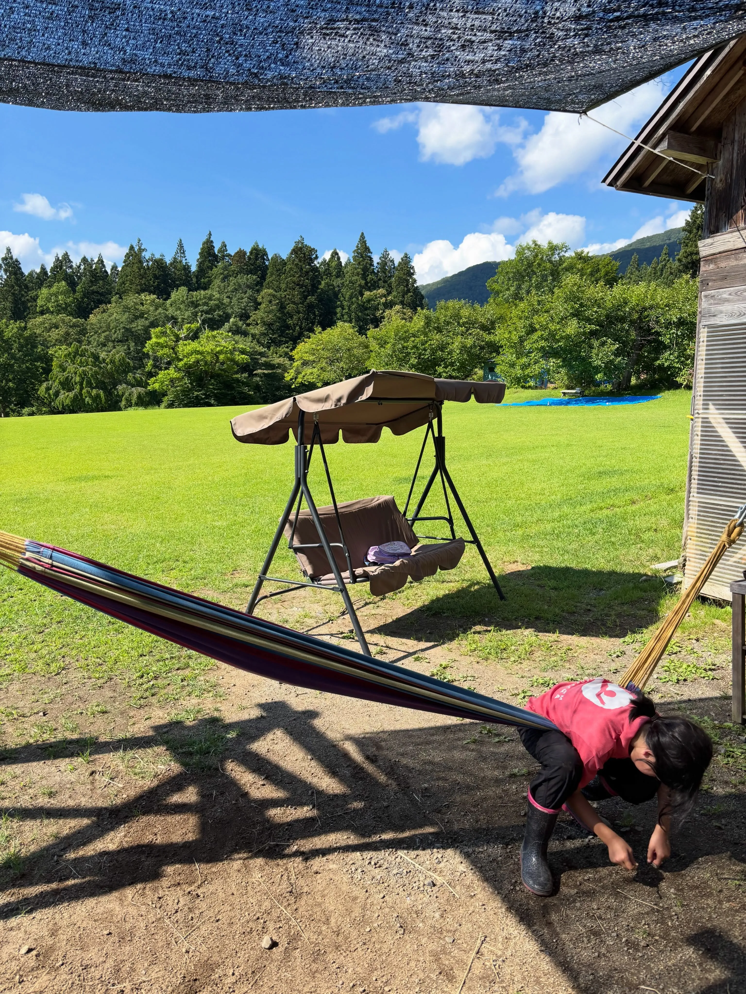 林の中は涼しくて快適！今日も空が真っ青♪