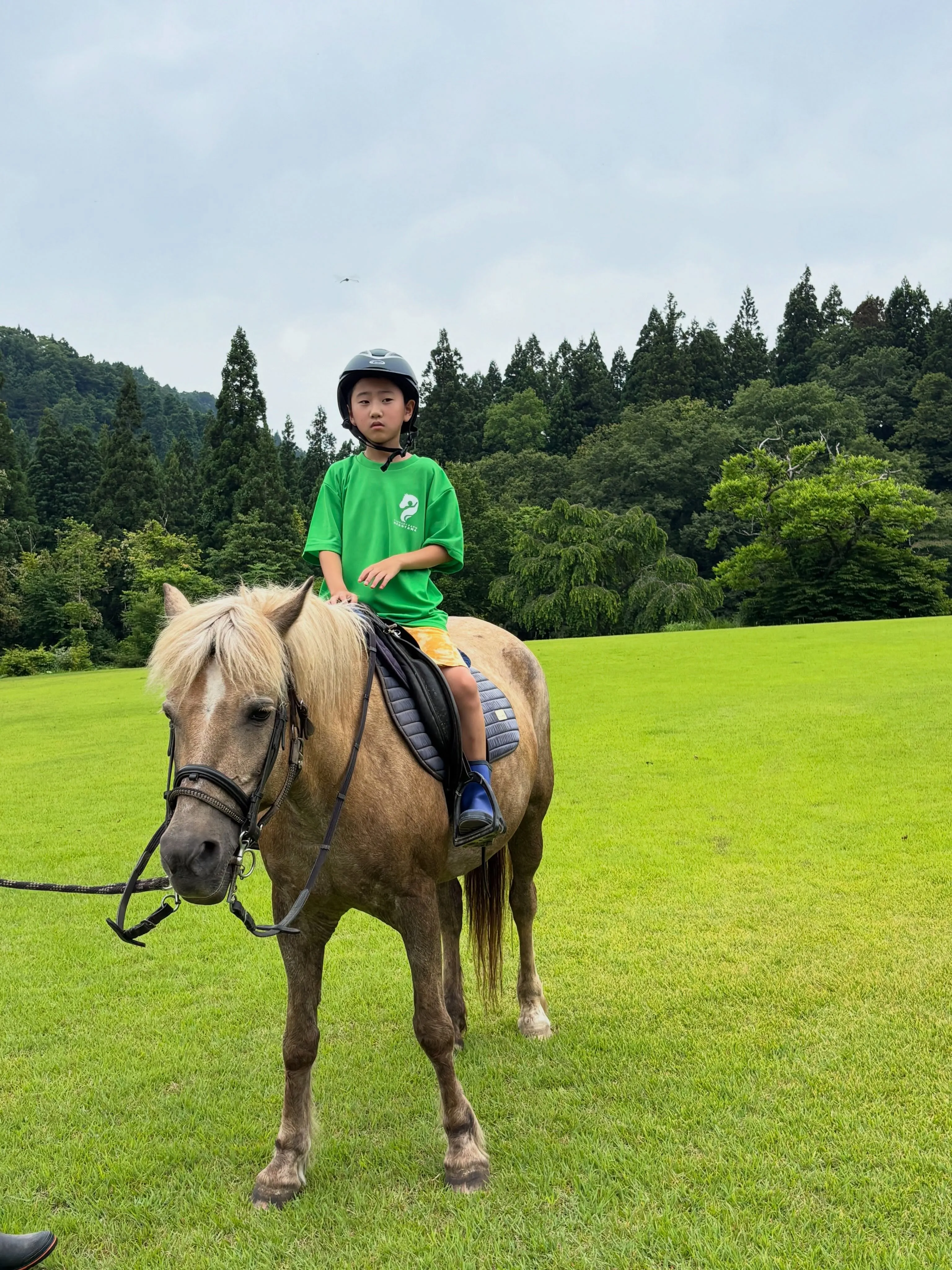 土日は子どもたちが楽しく乗馬🏇