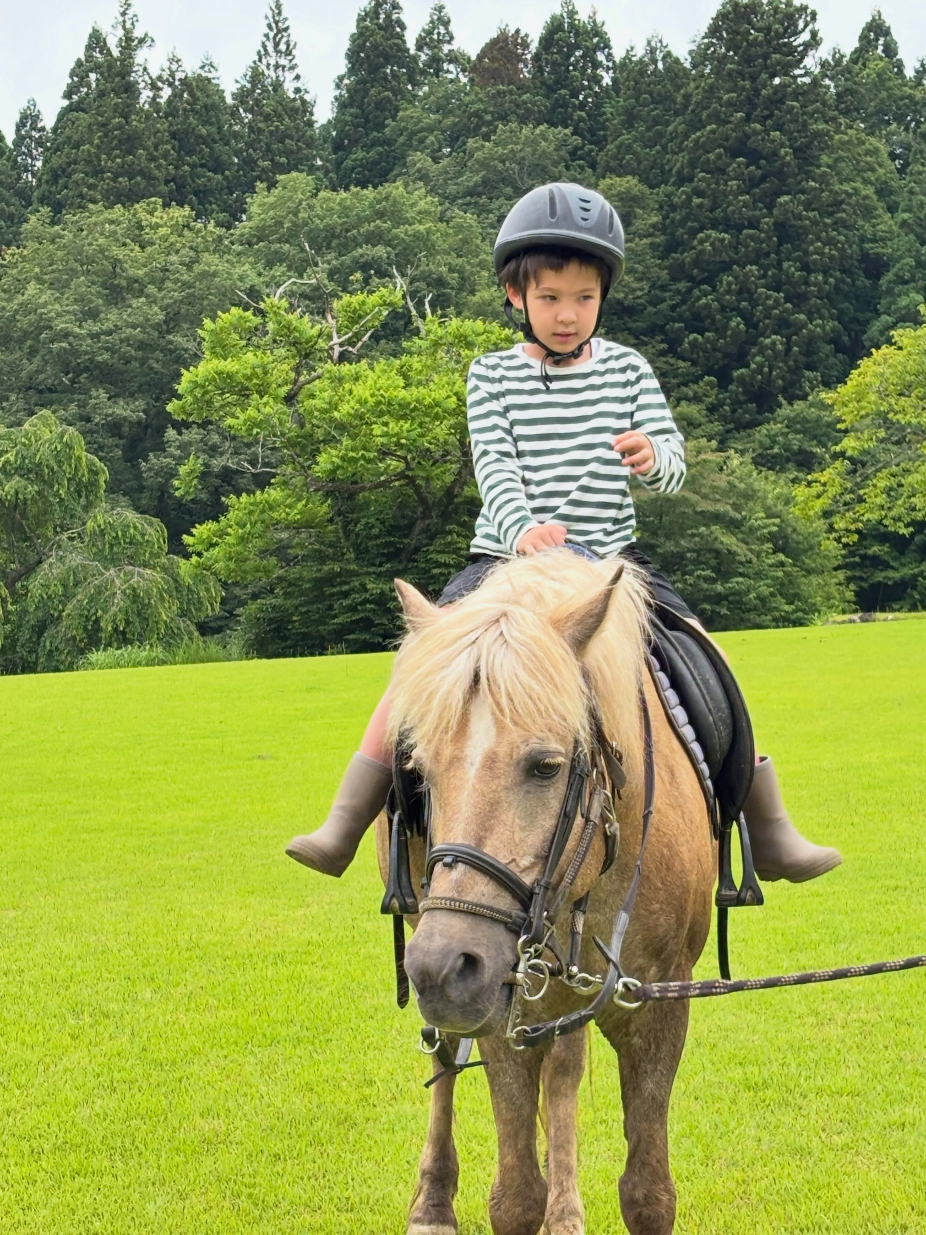 土日は子どもたちが楽しく乗馬🏇