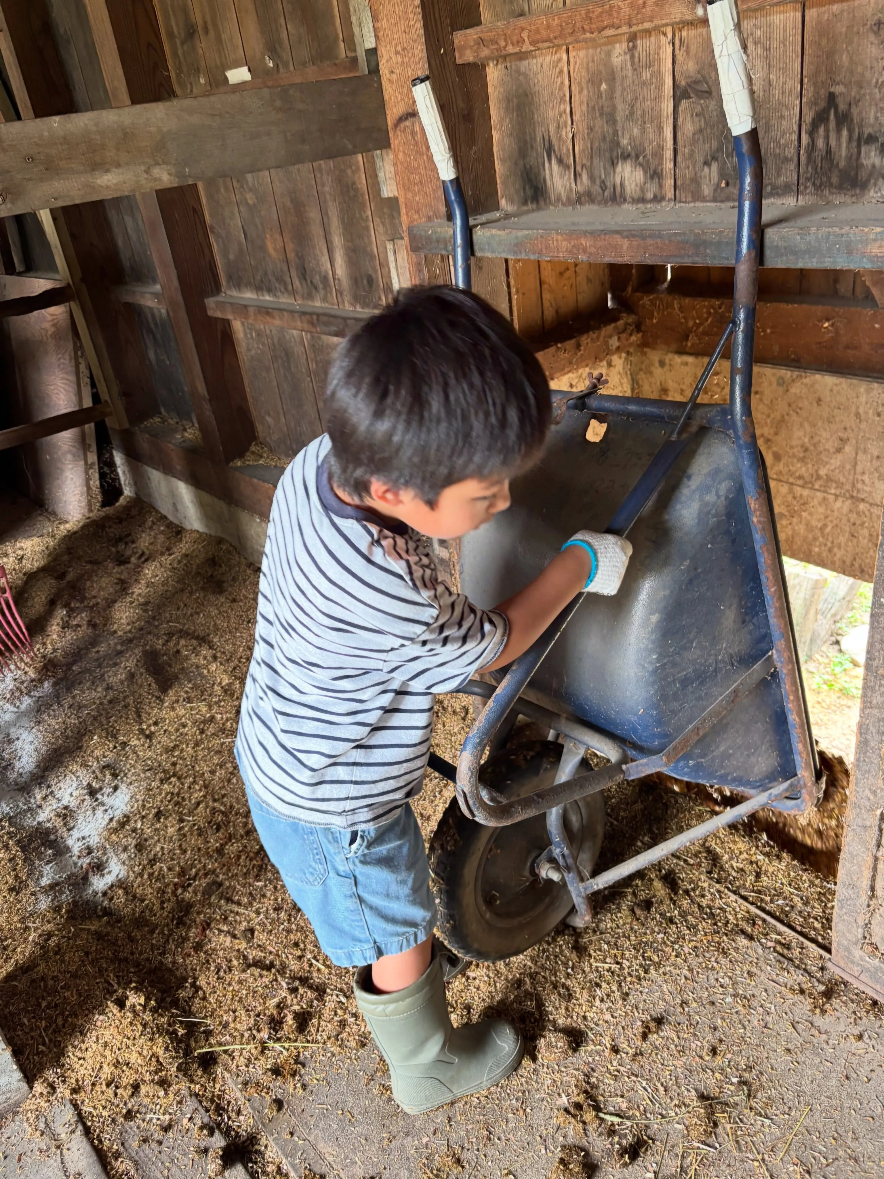 土日は子どもたちが楽しく乗馬🏇
