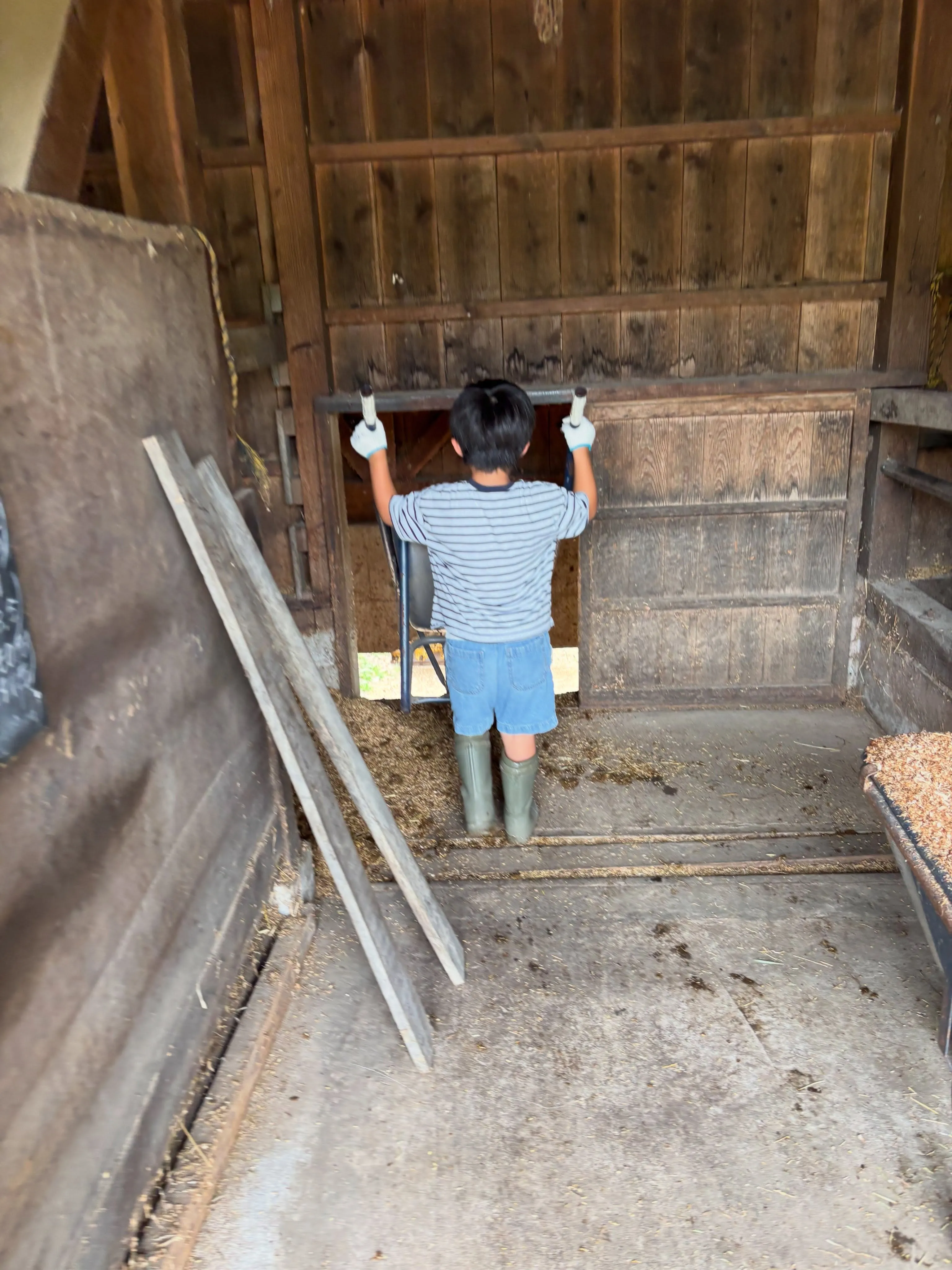 土日は子どもたちが楽しく乗馬🏇