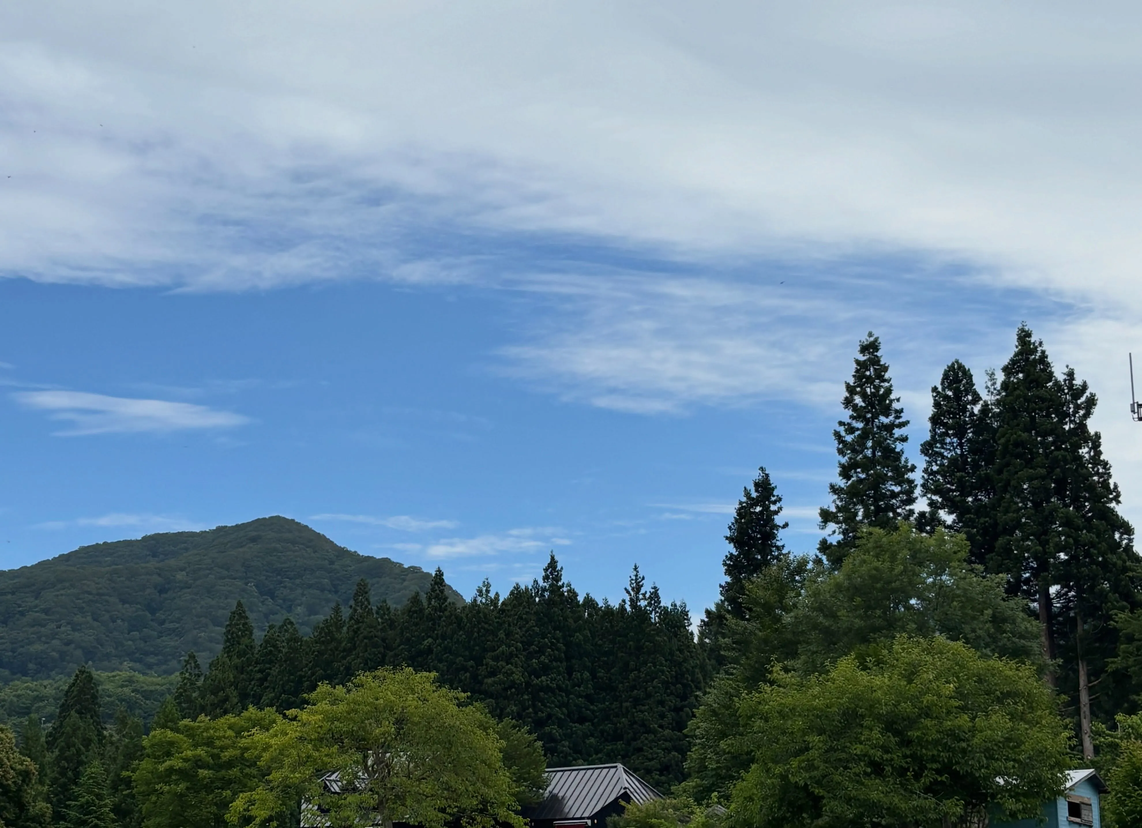 初めて装蹄するモッチー！