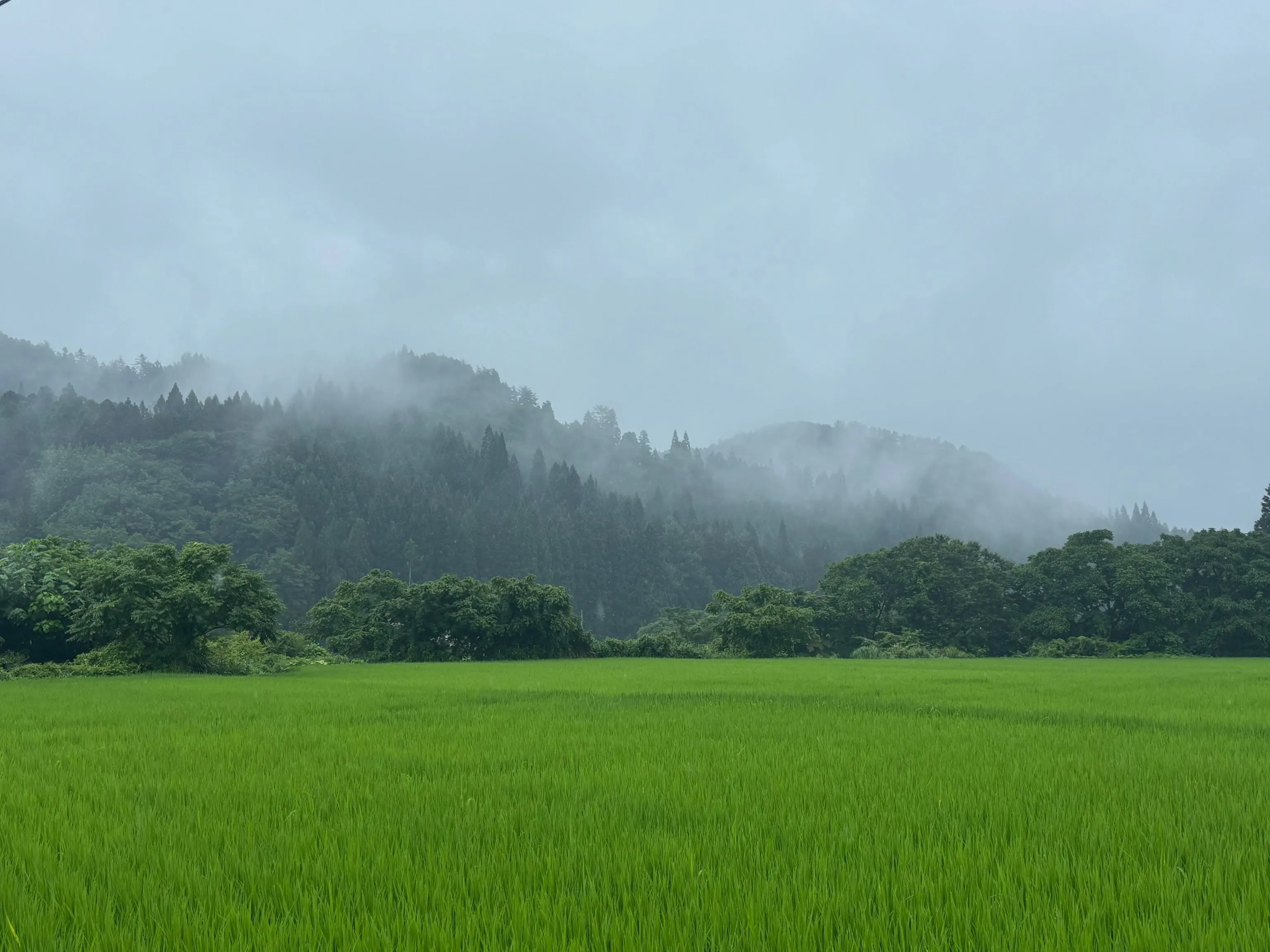 先日の大雨の日、それによって全然風景が変わっちゃうんだね！