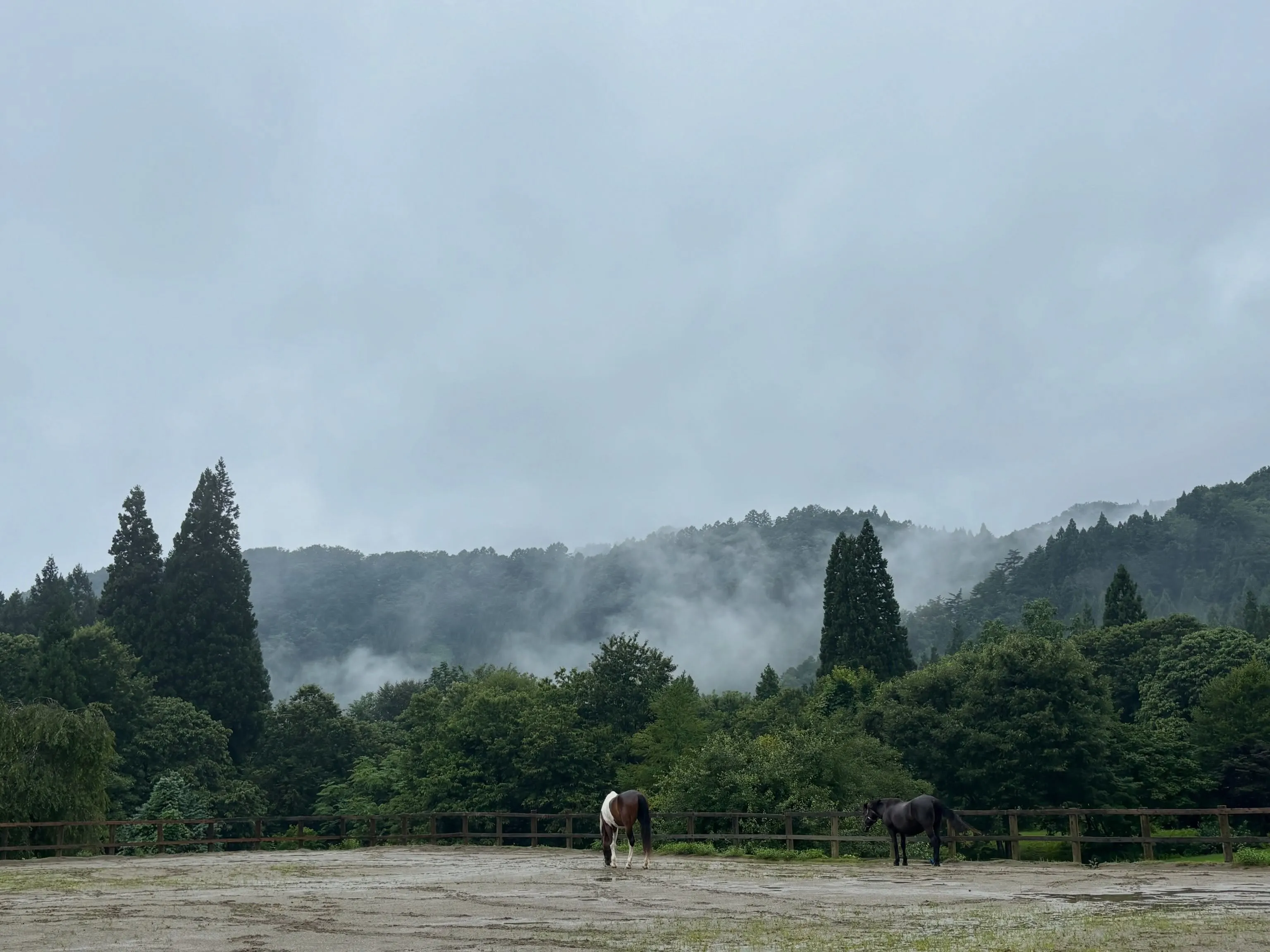 先日の大雨の日、それによって全然風景が変わっちゃうんだね！