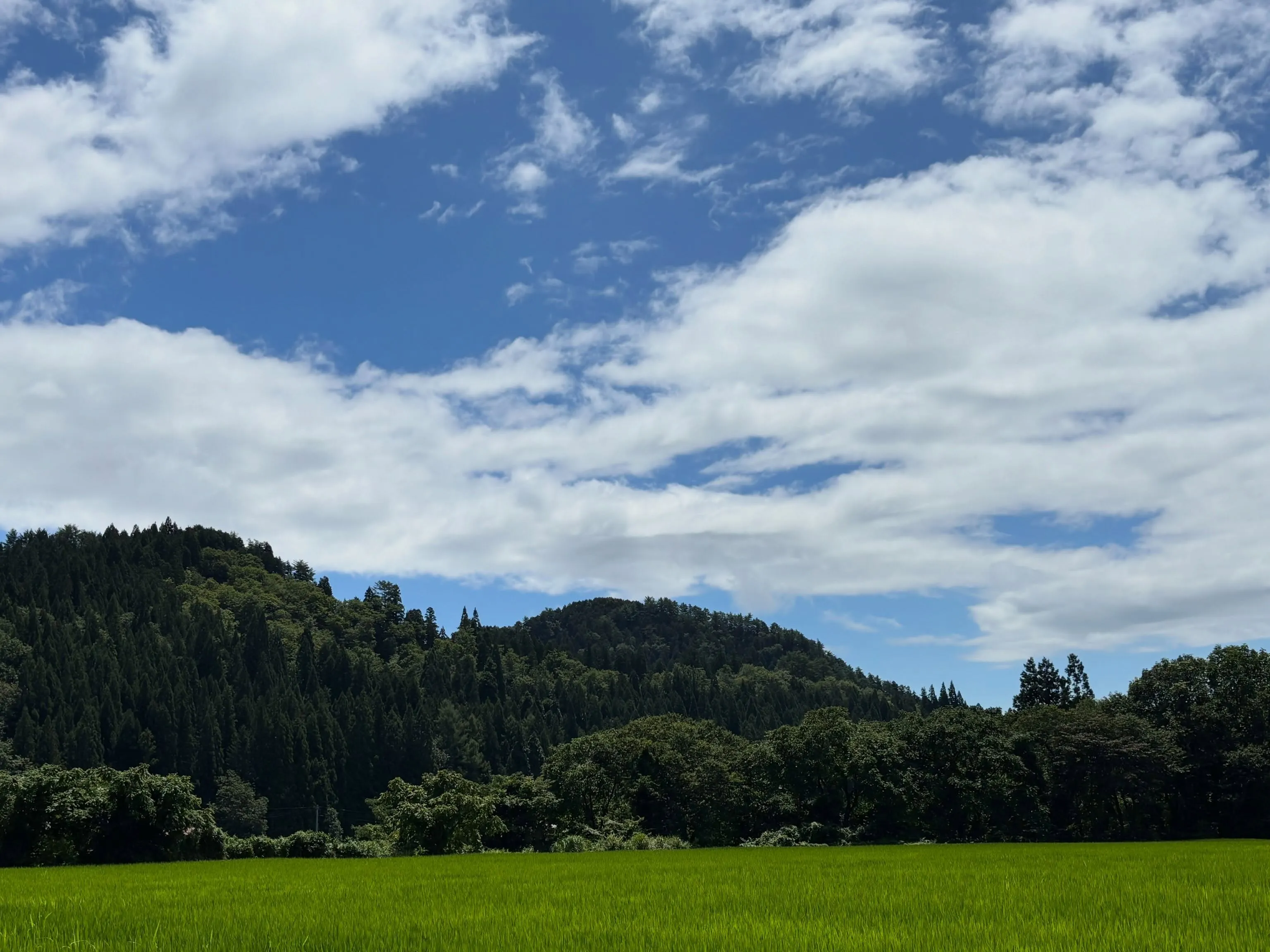 先日の大雨の日、それによって全然風景が変わっちゃうんだね！