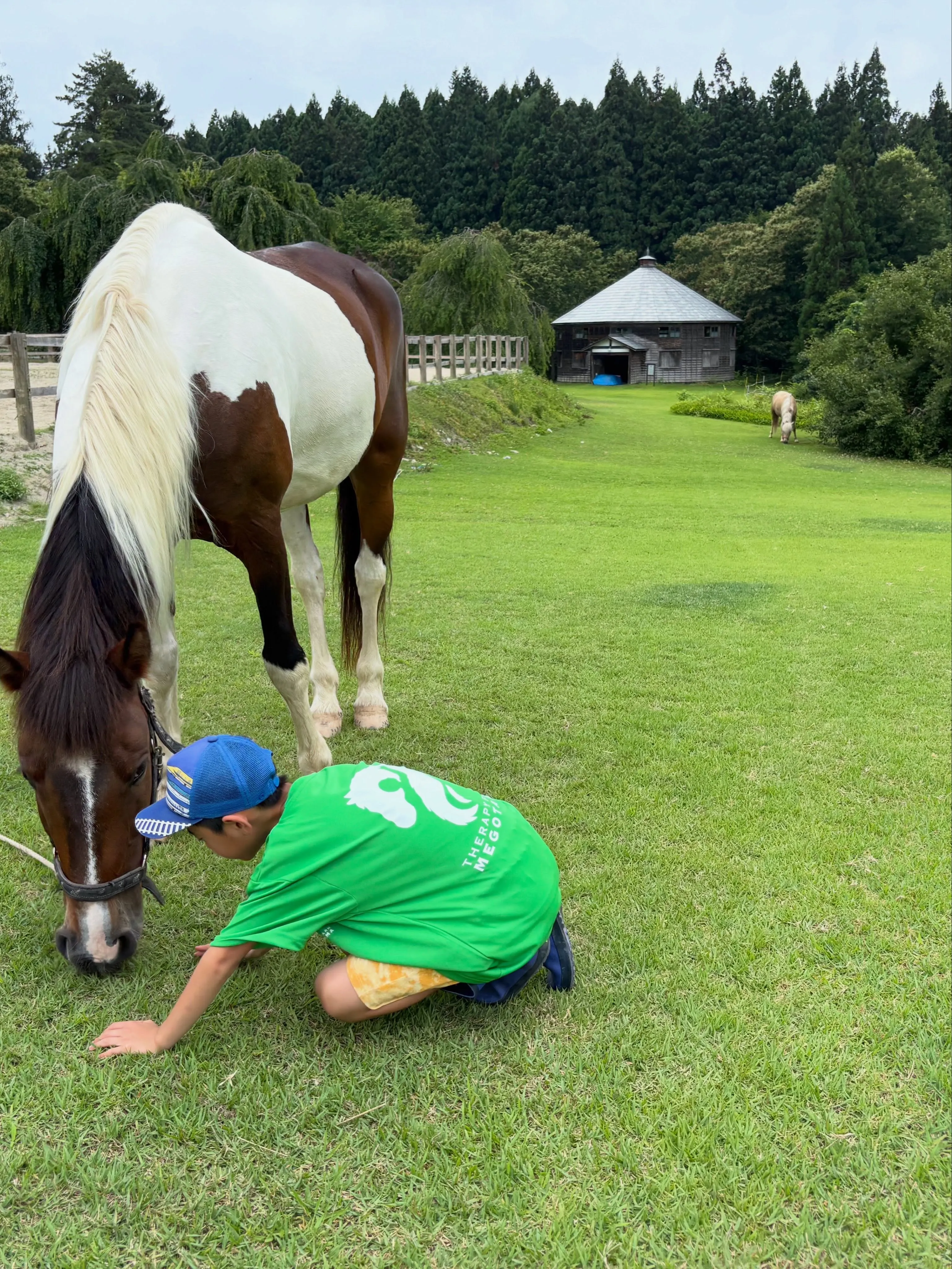 いつでもどこでも、草を喰む馬の傍にはいつも彼！