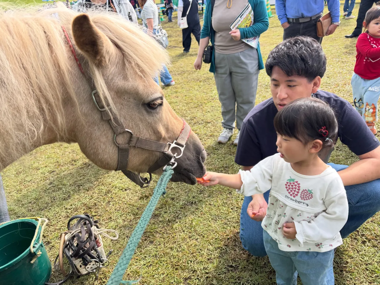 山形うま祭りに行って来ました🐴