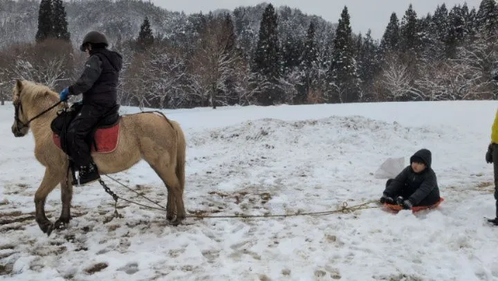 今年初☃馬ソリ🛷
