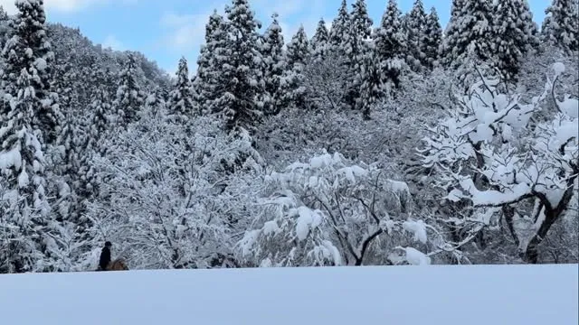 今日は雪海原で駈歩！馬も気持ち良さそう🐴