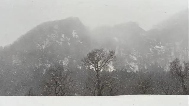 この間の吹雪