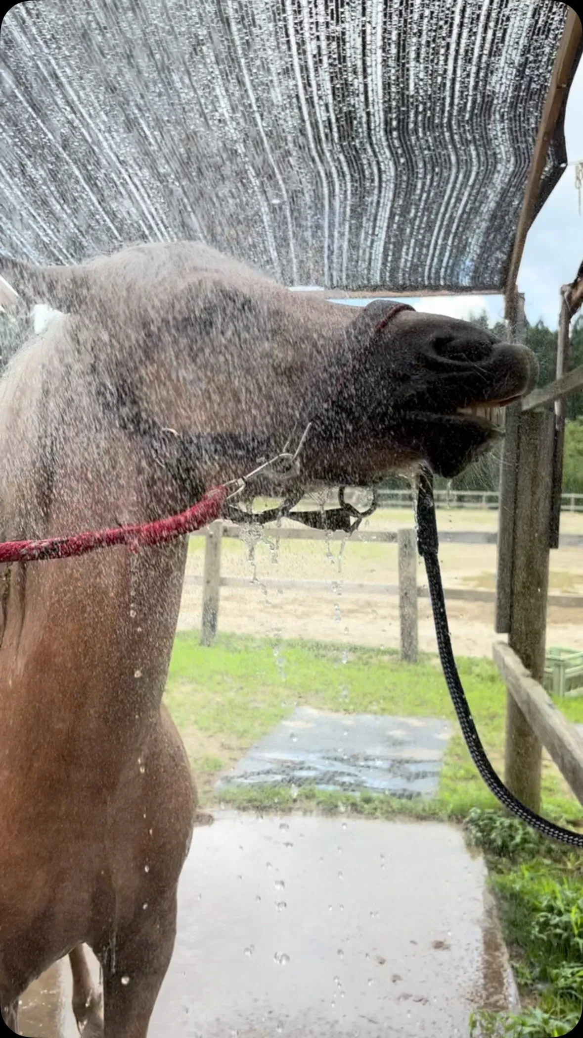運動の後はこれだ！気持ちいい〜💦